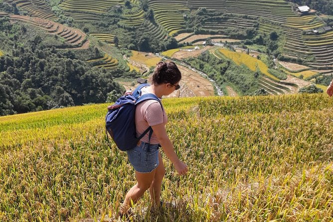 Full Day Private Trekking Mu Cang Chai - The Walking Route: From Pickup to Đồi Mâm Xôi (Raspberry Hill)