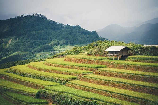 Full Day Private Trekking Mu Cang Chai - Timing, Fitness, and Weather: Plan for an Outdoor Reality