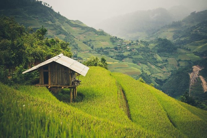 Full Day Private Trekking Mu Cang Chai - Who This Trek Is Best For (and Who Might Want Something Else)