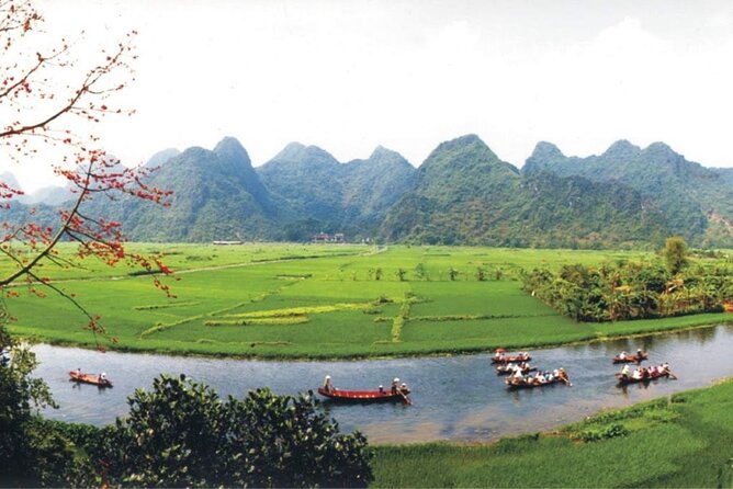 Full Day Tour to Perfume Pagoda with Traditional Boat Ride - Cable car up to Huong Tich Cave: the pagoda inside the cave