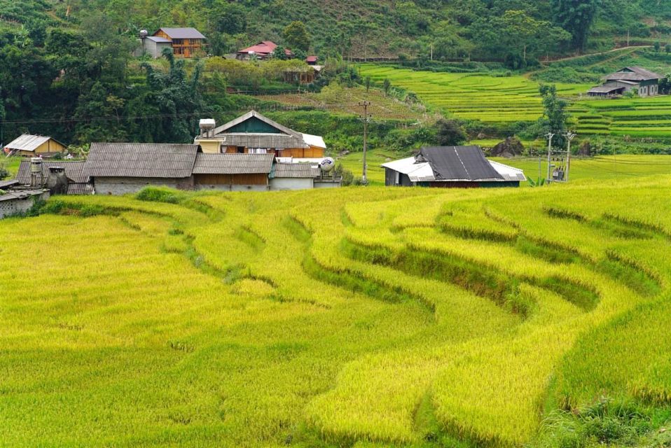 Full Day Trekking Lao Chai-Ta Van and Cat Cat Village - Lunch in Sapa: included meal, variable setting