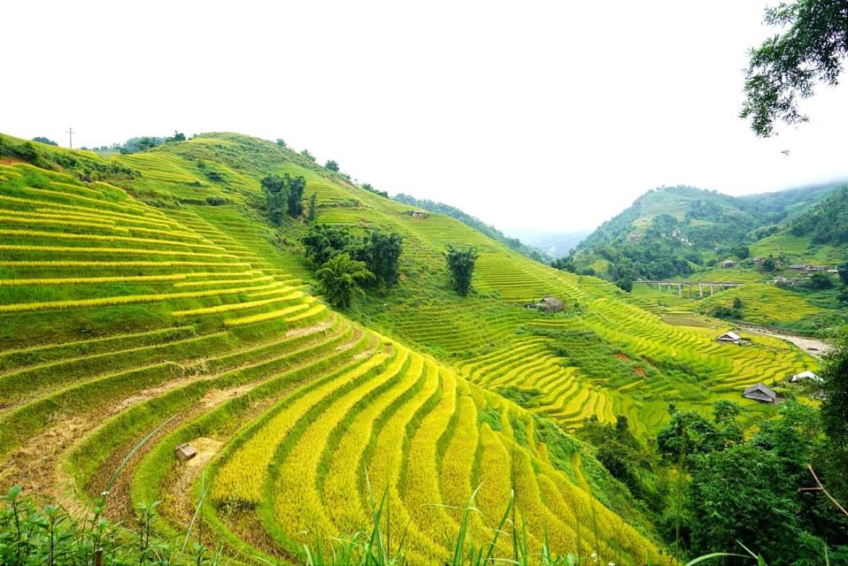 Full Day Trekking Lao Chai-Ta Van and Cat Cat Village - Getting started: Sapa pickup and your light-pack mindset