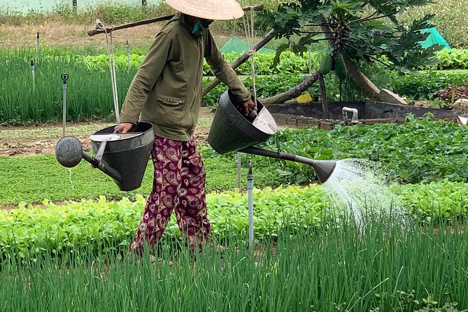 Full Experience Tour: Cooking Class & Basket Boat at Eco-Village - Hotel Pickup and Welcome Drinks: Starting Calm in a Busy City