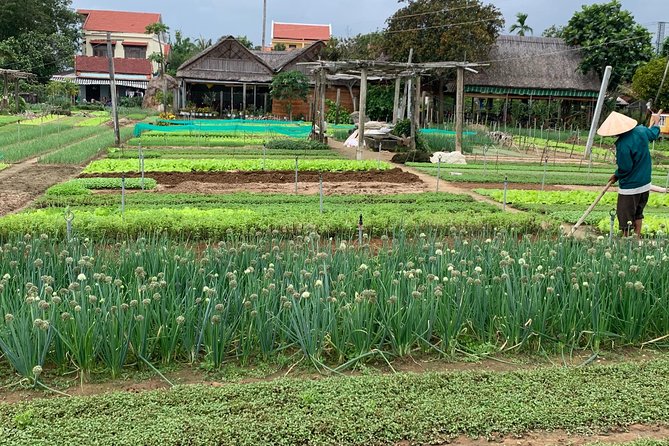 Full Experience Tour: Cooking Class & Basket Boat at Eco-Village - Vietnamese Cooking Class: Learning From a Real Family, Not a Performance