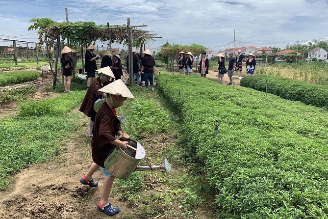 Full Experience Tour: Cooking Class & Basket Boat at Eco-Village - Pacing, Weather, and Who This Tour Suits Best