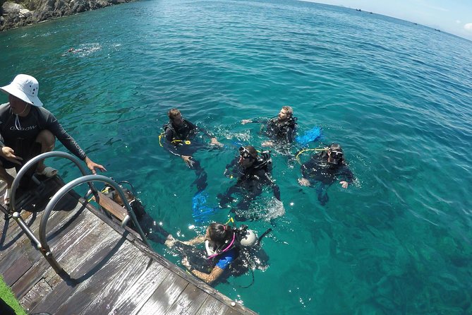 Fun Dives - Guided Dives for Certified Divers - The second underwater session: second reef, second chance