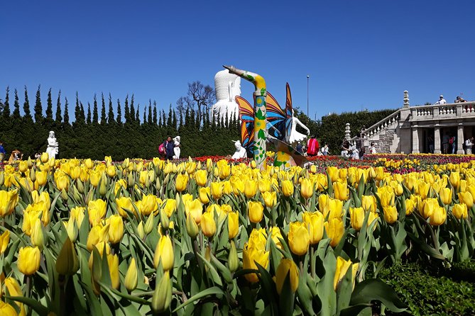 Golden Hand Bridge And Ba Na Hills tour from Hoi An/ Da Nang - Sun World Ba Na Hills: the cable car, the bridge photos, and the French-colonial feel