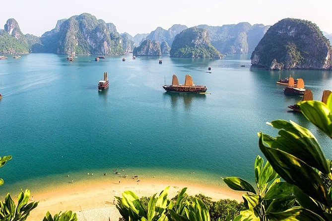 Group Halong Bay Day Cruise Including Hotel Transfers from Hanoi - Lunch on the water: what’s included, what to plan for