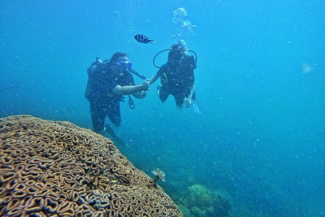 [GROUP] SCUBA DIVING For Beginners in Phu Quoc Island (TRY DIVE) - First Morning Meeting at 7:30 in Phu Quoc