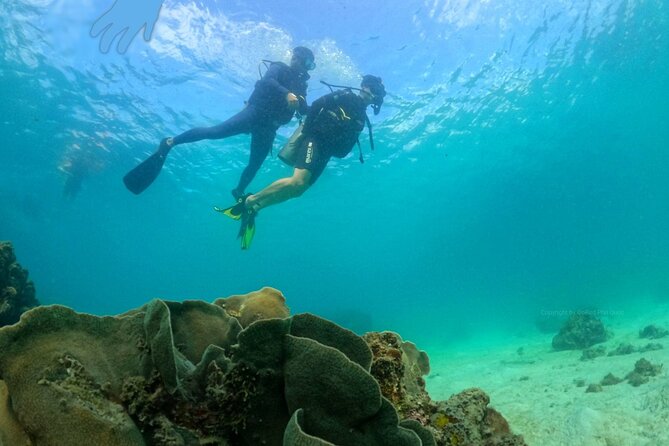 [GROUP] SCUBA DIVING For Beginners in Phu Quoc Island (TRY DIVE) - What Makes the Try Scuba Lesson Beginner-Ready