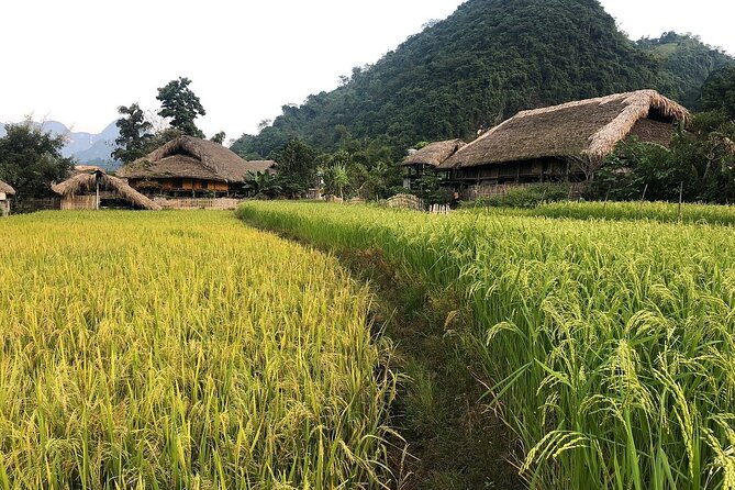 Ha Giang Comfort Car Ride 4D3N - Day 1 in Thôn Tà Village: a gentle start before the big passes