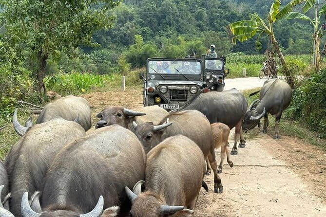 Ha Giang Jeep Tours: 3 Day 4WD + Hiking + Cruising Adventures - Comfort on Rough Roads: Homestay Private Rooms and the Jeep Reality Check