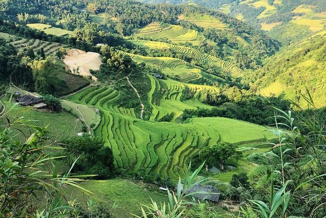 Ha Giang Loop Private Motobike Tour - 4 Days and 3 Nights! - Day 2: Rocky Lung Phin, a Nho Que River boat tour, and Ma Pi Leng Pass