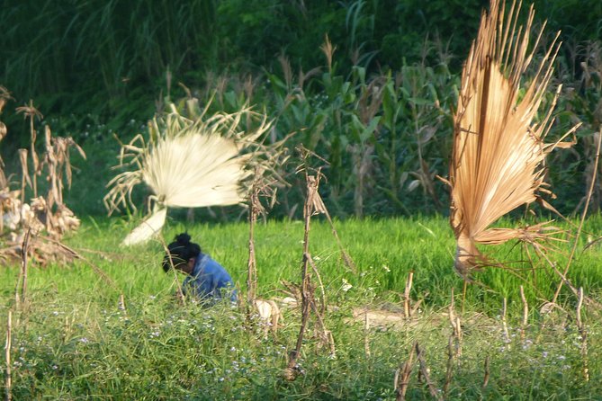 Ha Giang Trekker 2D2N - Key Highlights You’ll Feel Fast