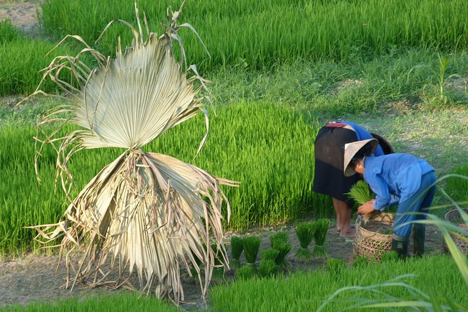 Ha Giang Trekker 2D2N - The Homestay in a Traditional Tay Home: What You’re Actually Booking