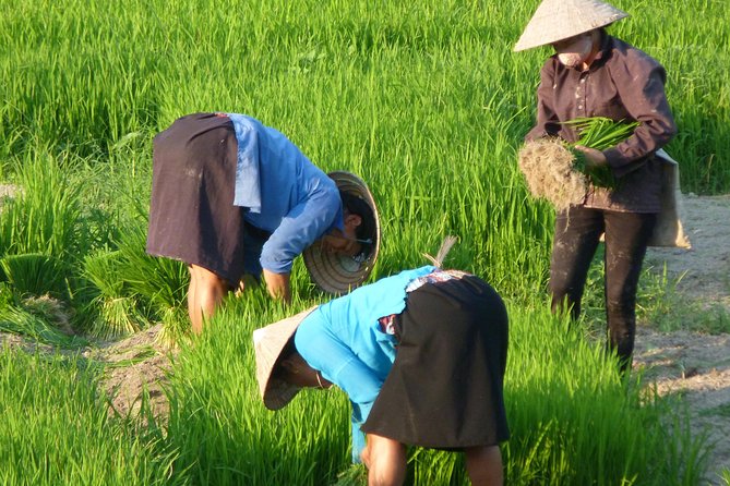 Ha Giang Trekker 2D2N - Fitness and Comfort: What Moderate Really Means Here
