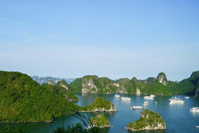 Ha Long Bay 1 Day Joined Luxury Tour - Should you book the Ha Long Bay 1 Day Joined Luxury Tour?