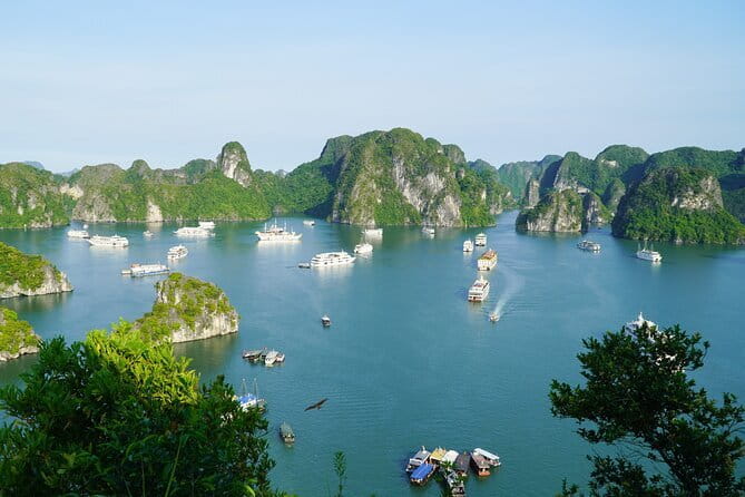 Ha Long Bay 1 Day Joined Luxury Tour - Tuan Chau Island boarding: where your day gets going