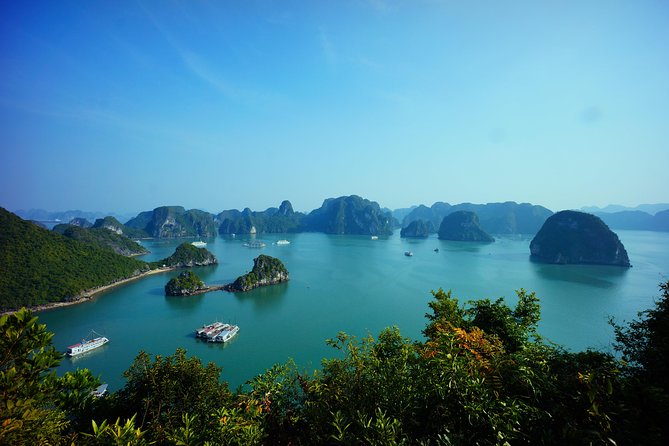 Ha Long Bay 1 Day Tour - Caves plus small-boat time: kayaking or bamboo rowing