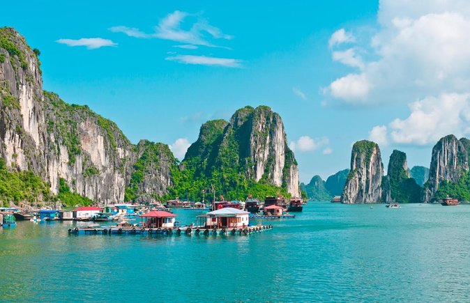 Ha Long Bay Cruise Day Tour - Cave, Kayaking, Swimming & Lunch - Key highlights at a glance