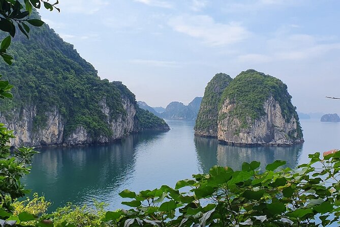 Ha Long Bay Cruise Day Tour - Cave, Kayaking, Swimming & Lunch - Sunset party on board: the fun finish with cake, fruit, and red wine