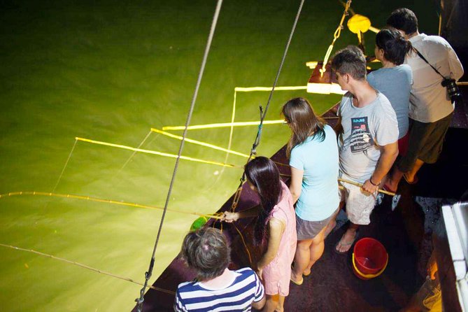 Ha Long Bay & Lan Ha Bay 2D1N on 5-star Cruises - The onboard program: Tai Chi, tea, cooking, squid fishing, and music