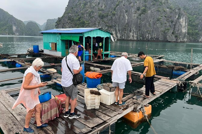 Ha noi: 3D- Halong, Lan ha bay classic cruise, Ninh Binh full day - How this Hanoi-to-Halong-to-Ninh Binh plan saves you energy