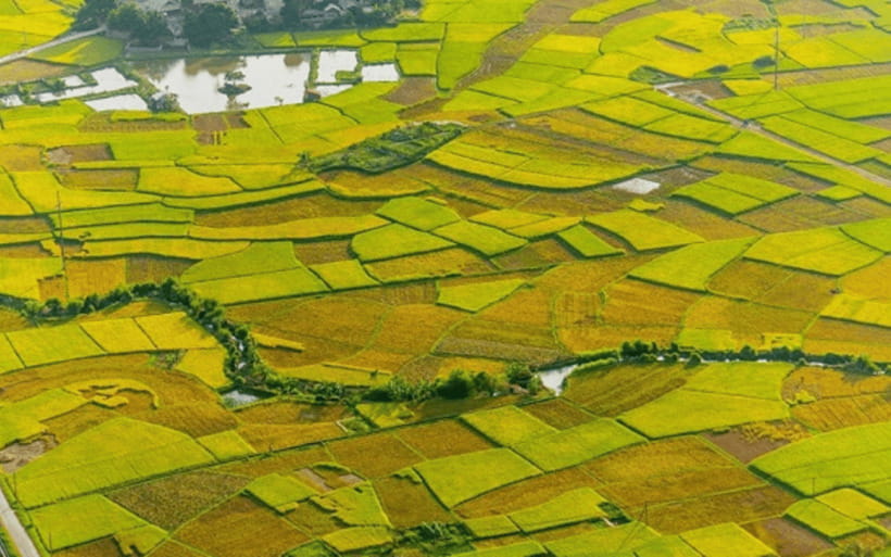 Ha Noi - Mai Chau - Pu Luong 2 Days 1 Night Trekking Tour - Mai Chau stilt house homestay: the part you’ll remember