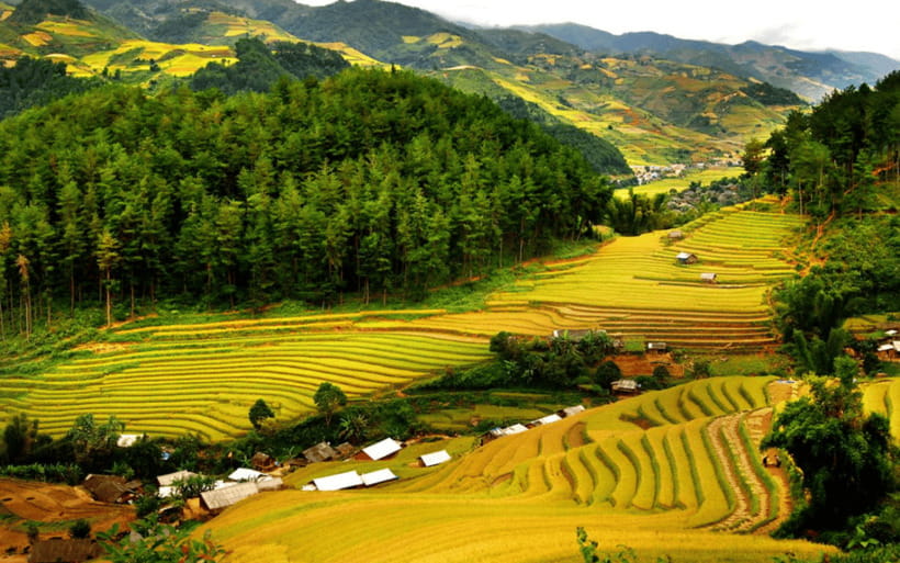 Ha Noi - Mai Chau - Pu Luong 2 Days 1 Night Trekking Tour - Day 2: Pu Luong Nature Reserve trek and the quieter village feel