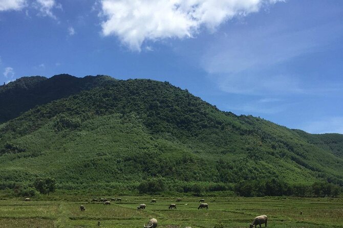 HAI VAN PASS MOTORBIKE TOUR - Top Gear Experience - The Top Gear feeling is real, but the rules come first