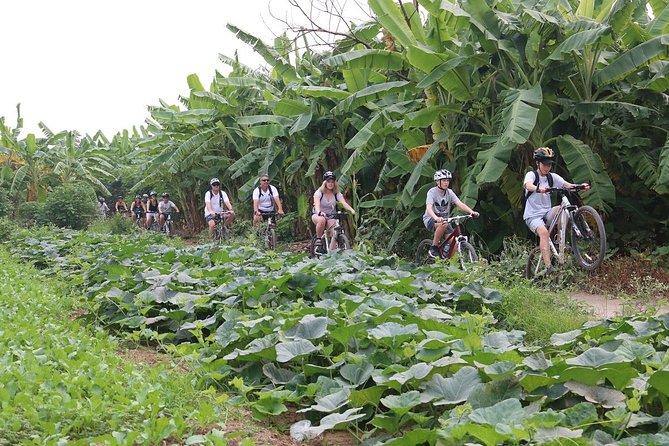 Half-Day Bicycle Tour Combine City & Countryside + Train Street - Ba Dinh Square: City Icons From the Bike Lane