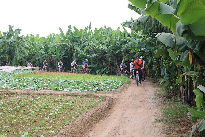 Half-Day Bicycle Tour Combine City & Countryside + Train Street - Long Bien Bridge: A Landmark You Ride Into, Not Just Look At