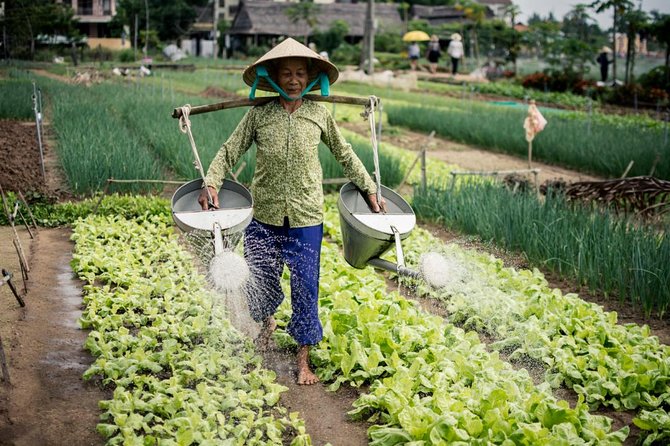 Half Day Cooking Class At Tra Que Vegetable Village Hoi An - Hoi An’s Rural Side: Cycling and Cooking in Tra Que