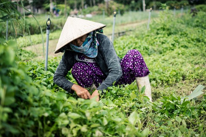 Half Day Cooking Class At Tra Que Vegetable Village Hoi An - Tra Que Vegetable Village: Farmer Life and Traditional Work