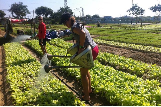 Half Day Cooking Class At Tra Que Vegetable Village Hoi An - Lunch at the Farmer’s House: What You’ll Eat After You Cook