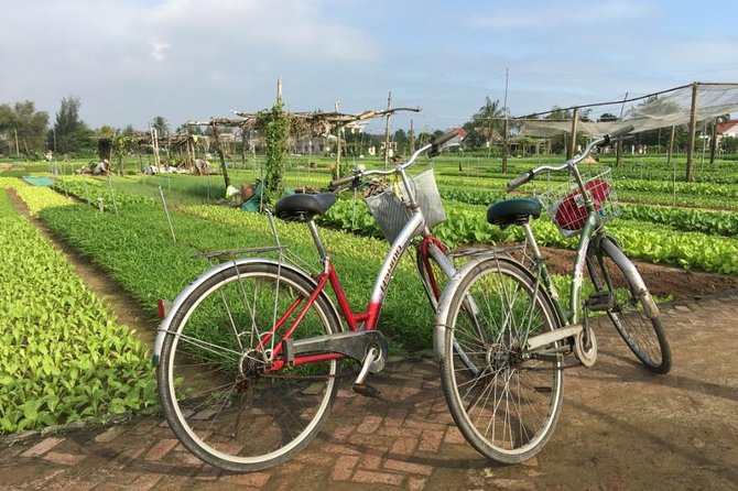 Half Day Cooking Class At Tra Que Vegetable Village Hoi An - Ba Le Market: Choosing Produce and Learning to Bargain
