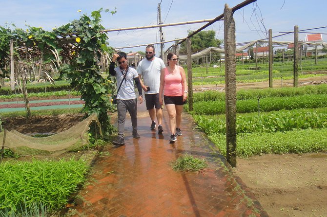 Half-day Electric Scooter Adventure And Art Workshop In Hoi An - Tra Que Vegetable Village: Herbs, Rice Crackers, and Real Food Culture