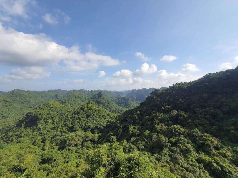 Half Day Hiking to Cat Ba National Park with a Guide - Key highlights at a glance