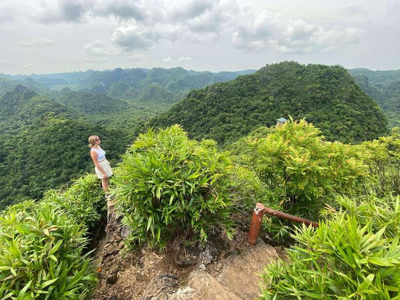 Half Day Hiking to Cat Ba National Park with a Guide - Caves, jungle steps, and a peak view in just 4 hours