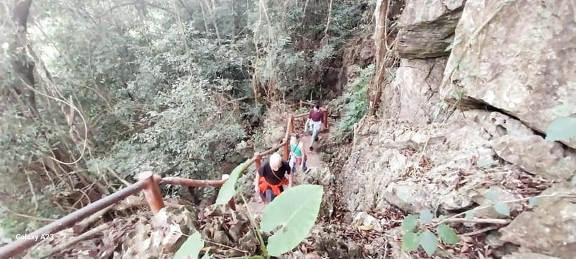 Half Day Hiking to Cat Ba National Park with a Guide - Who this half-day hike suits (and who should skip it)