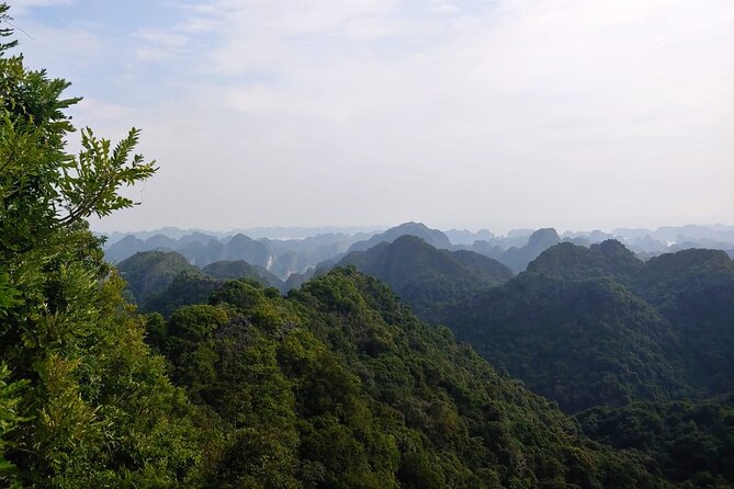 Half Day Hiking to Discover Cat Ba National Park with a Guide - Key Highlights Worth Planning For