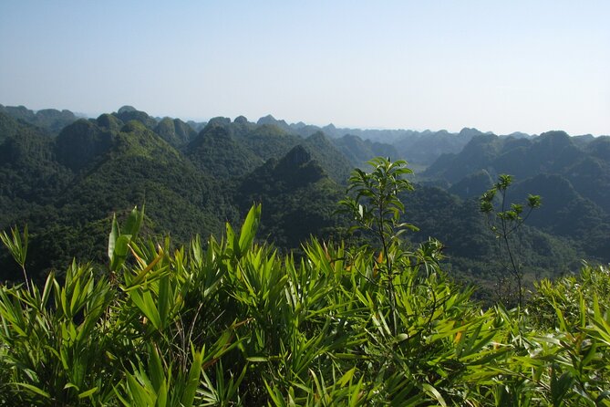 Half Day Hiking to Discover Cat Ba National Park with a Guide - Getting to the Trail: Pickup, Small Group, and Smooth Timing