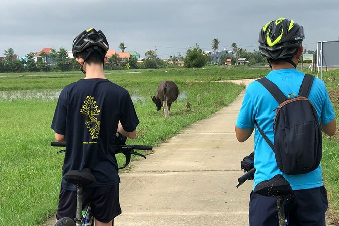 Half-day Hoi An Countryside Bike Tour and Basket Boat with Lunch - The boat return: basket-boat style calm and easy finishing time