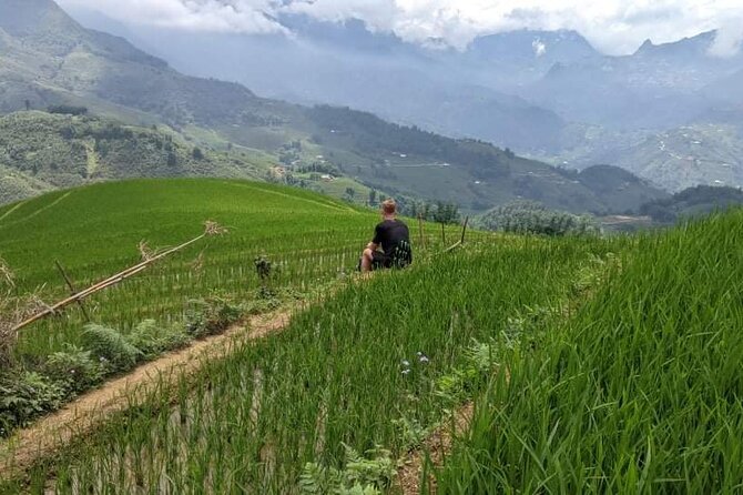 Half-Day Hometrek from Sapa with Hmong Sister House - Timing and Pace: 4.5 Hours Means You’ll See Real Things, Fast