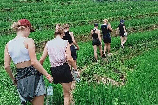 Half-Day Hometrek from Sapa with Hmong Sister House - Y Linh Ho: The Old Market Path and Why It Matters