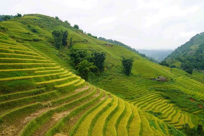 Half Day Sapa Trekking to Visit Lao Chai - Ta Van - Bản Ý Linh Hồ Photo Stop: Where the Valley Opens Up