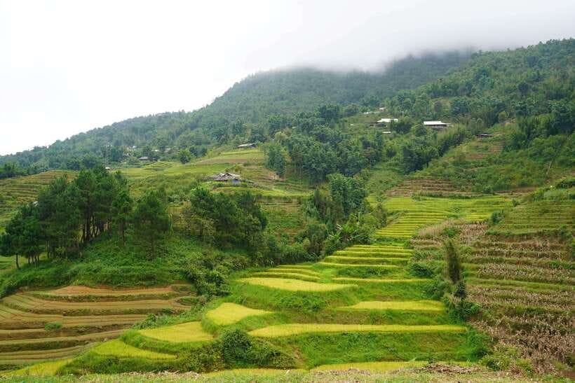 Half Day Sapa Trekking to Visit Lao Chai - Ta Van - What the Weather and the Ground Really Feel Like