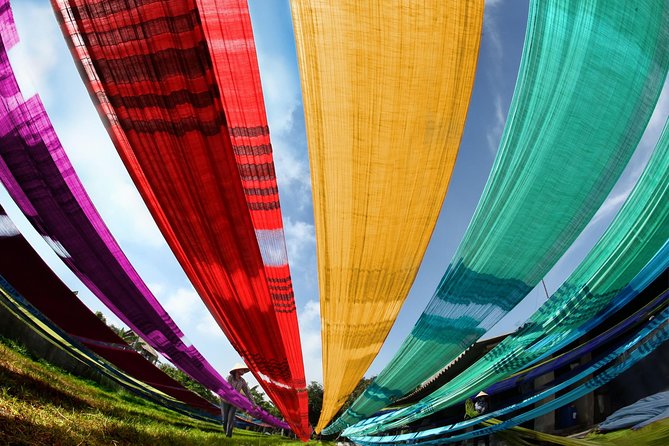 Half-day Silk Weaving Discovery In Hoi An - Ancient mulberry trees and the mulberry-leaf food chain