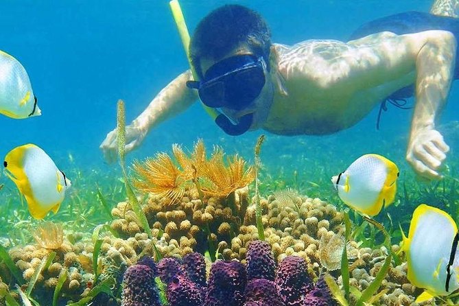 Half Day Tour Snorkeling in Nha Trang Bay Included Lunch - Two snorkeling stops from a wooden boat: the practical mechanics