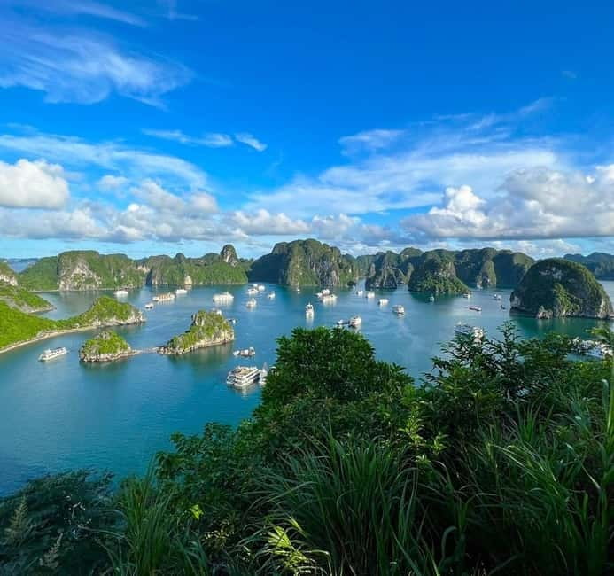 Halong 6 Hours Cruise: Kayak, Cave, Lunch, Beach & Island - Price, Crowds, and Timing: What You Can Expect in Real Life